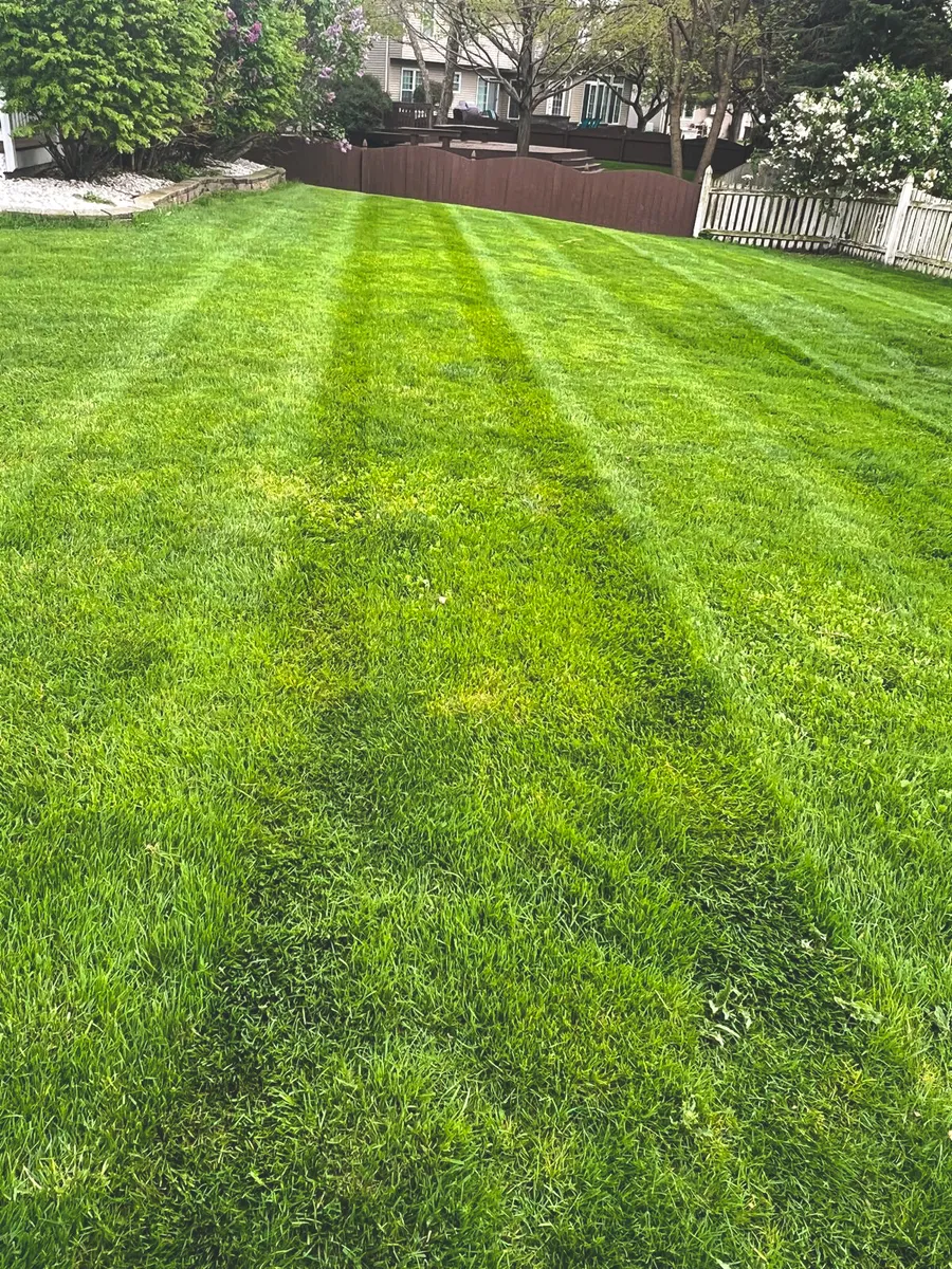 Full Yard Landscape Transformation