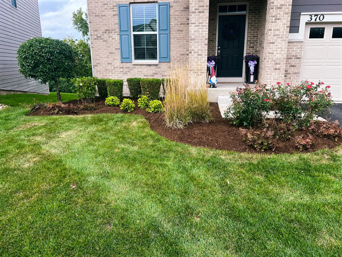 Core Aeration & Overseeding Process