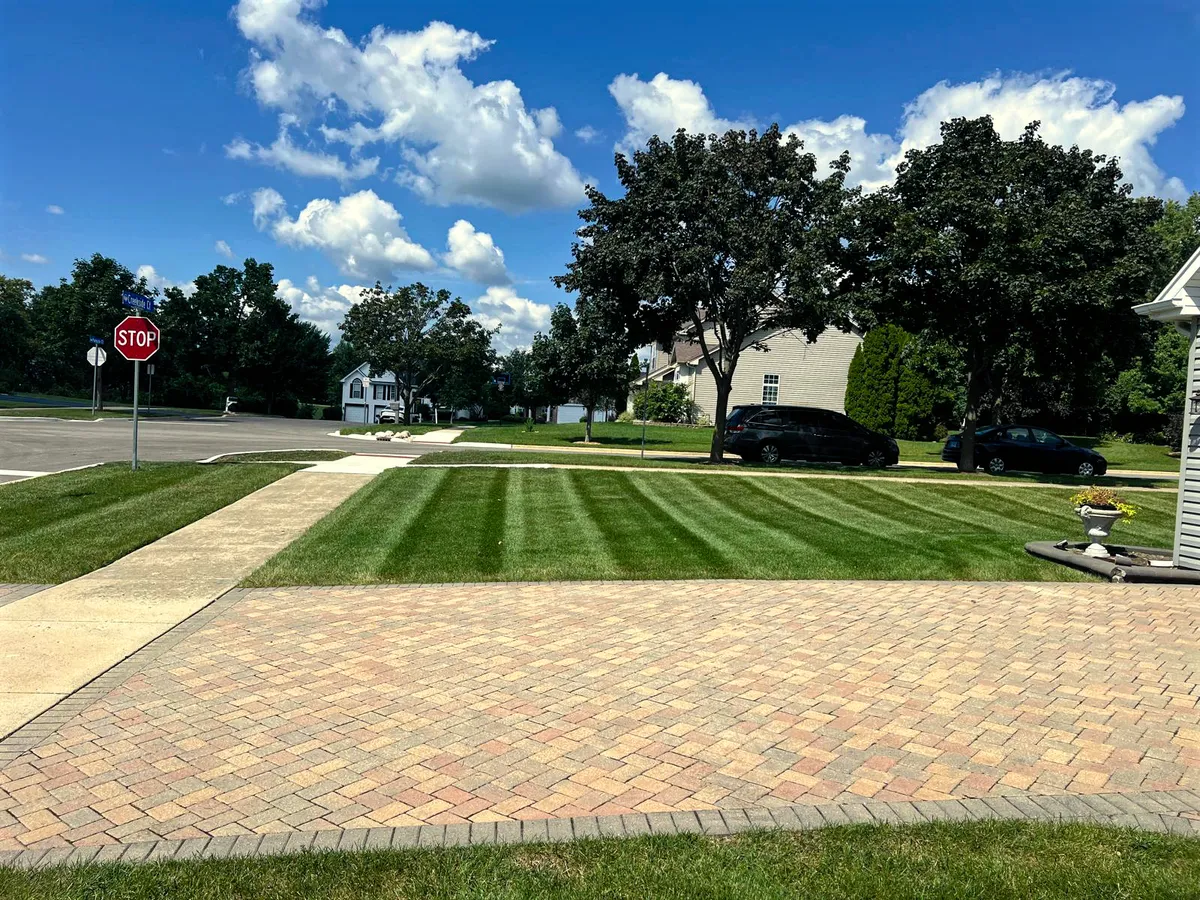 Fall Leaf Clean Up Services