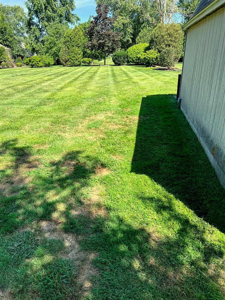 Lawn Mowing & Striping