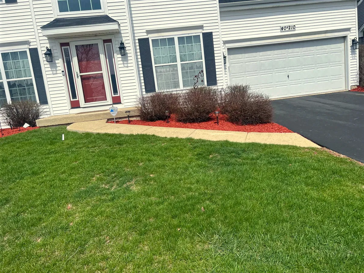 New Grass Planting & Seeding