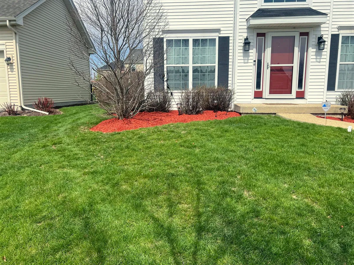 Plant & Shrub Garden Installation
