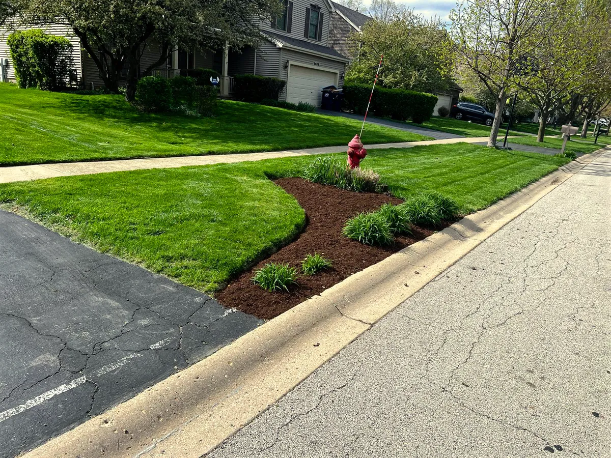 Residential Lawn Care & Maintenance
